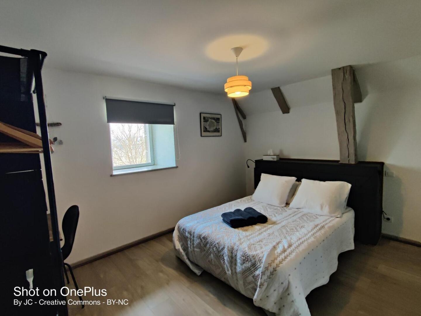 Maison d'Hôtes La Grange Salers Extérieur photo
